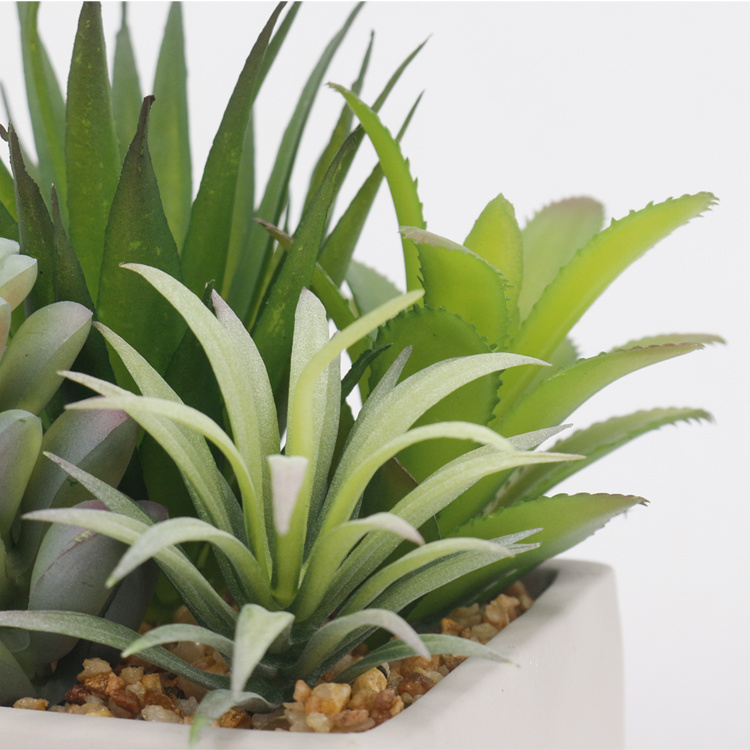 Ornamental-Evergreen-Indoor-Desktop-Decoration-Artificial-Succulent-Small-Succulent-Plant-with-Pot (3).jpg 